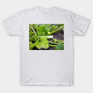 Zucchini T-Shirt